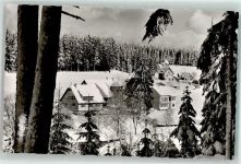 72250 W7290 Kniebis - Winter