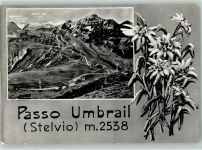 23100 Sondrio Foto AK Umbrailpass Edelweiß Vera Foto