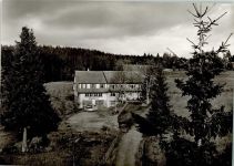 72250 W7290 Kniebis - Pension Waldblick
