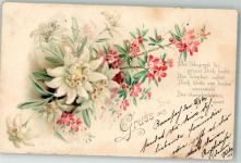 Blumen Spruch Edelweiß 1900 Lithographie