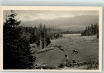 Schreiberhau Szklarska Poreba Foto AK Heimatschutz-Postkarte Die Dovewiese