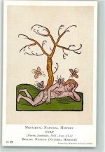 London Mediaeval Natural History Mann wird von Mücken zerstochen nach Hortus Sanitatis 1491 British Museum Medizin