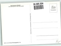 76889 W6749 Schweigen Foto AK Deutsches Weintor