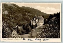 79410 W7847 Badenweiler Foto AK Haus Waldeck Baumblüte