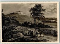 65366 W6222 Geisenheim , Rheingau Foto AK Schloss Johannisberg Foto nach altem Stich