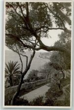 Dubrovnik Ragusa Foto AK Ort handschriftlich