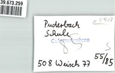 57334 W5928 Puderbach , Kr Wittgenstein FOTO KEINE AK Schule Foto Original aus Archiv eines Ansichtskartenverlags