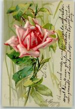 PFB Serie 1882 Rose Künstlerkarte