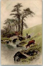 Serie 1404 Waldesfrieden Hirsch und Reh Landschaft Meissner & Buch