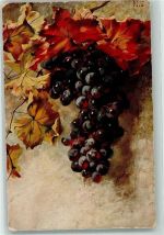 Rote Weintrauben sign. M.S. Frucht, Gemüse Künstlerkarte