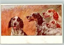 Jagdhunde Nr.975 M. Munk Wien 1918 Künstlerkarte