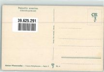 Gänsefingerkraut Kleiner Pflanzenatlas Serie 2 Nr.4 Alpenflora