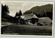 79856 W7824 Hinterzarten - Steig Schwarzwaldhaus
