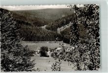 57319 W5920 Schwarzenau , Eder Foto AK Pension Baetzel