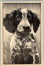 Edition C.R. Paris Spaniel Künstlerkarte