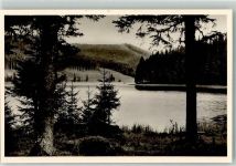 79868 W7828 Altglashütten , Schwarzw Foto AK Windgfällweiher
