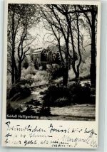 88633 W7799 Heiligenberg , Baden 1936 Foto AK Schloss