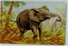 ST. Z. F. No 127 Elefant Künstlerkarte