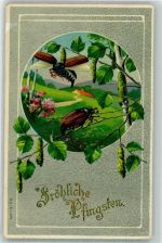 Passepartout Birkenzweige Pfingsten Maikäfer 1910