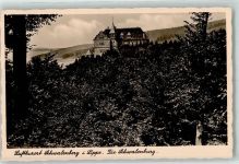 32816 W4938 Schieder-Schwalenberg Foto AK Burg