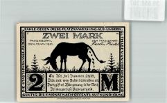 33098 W4790 Paderborn 1921 Notgeldschein 2 Mark Eselgasse