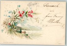Edelweiss Koch u. Palm Serie I. Alpenflora 1899 Lithographie