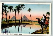 Gizeh Giza - Pyramide Tracht Kamel