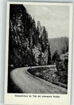 09509 O9345 Pockau Foto AK Nonnenfelsen im Tale der schwarzen Pockau