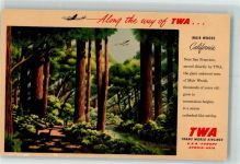 San Francisco Mamouth-Wald TWA