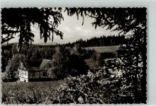 57319 W5920 Struthbach Foto AK Gasthaus Pension Hof Strutbach