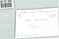 63477 W6457 Dörnigheim FOTO KEINE AK ev. Kirche Ort handschriftlich Foto Original aus Archiv eines Ansichtskartenverlags