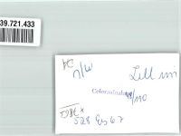 79669 W7863 Zell im Wiesental FOTO KEINE AK Ort handschriftlich Foto Original aus Archiv eines Ansichtskartenverlags