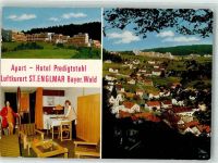 94379 W8449 St. Englmar Foto AK Apart-Hotel Predigtstuhl Fotograf Eiglsperger