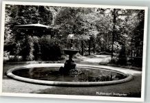 88630 W7798 Pfullendorf , Baden Foto AK Stadtgarten Springbrunnen