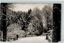 34431 W3538 Padberg - Winter an der Diemelbrücke