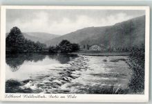 56588 W5454 Waldbreitbach Foto AK partie am Wehr