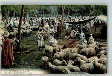 Alger Algier - Tracht Schafe Marktszene