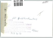 63538 W6451 Großkrotzenburg FOTO KEINE AK Ort handschriftlich Foto Original aus Archiv eines Ansichtskartenverlags