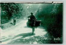 Esel Pyrenäen Motiv Frankreich Foto AK