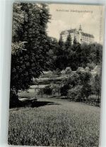 88633 W7799 Heiligenberg , Baden 1928 - Schloss