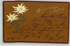 Edelweiß Herzlicher Gruss Litho Alpenflora 1902 Prägedruck