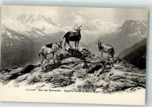 Mont-Blanc Gams Foto AK