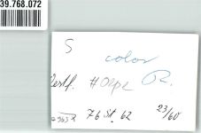 57462 W5960 Olpe , Biggesee FOTO KEINE AK Foto Original aus Archiv eines Ansichtskartenverlags Ort handschriftlich