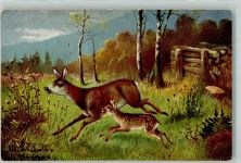 Reh Jagdtier 1932 Künstlerkarte