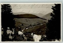 79674 W7868 Todtnauberg FOTO KEINE AK
