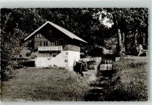 76855 W6747 Annweiler am Trifels Foto AK Mühle im Kurpark