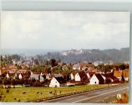 49186 W4505 Bad Iburg FOTO KEINE AK Foto Original aus Archiv eines Ansichtskartenverlags Blick aufs Schloss Kühe Ort handschriftlich