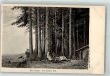Balz Stäger : Des Büssers Tod Friedhof 1900 Künstlerkarte