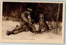 Rotes Kreuz Hund Troll Soldat Sanitätshund