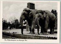 O7000 Leipzig Elefantenpaar Zoo Foto AK